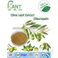 бенефициос экстракт оливковых листьев порошок олеуропеин 20%